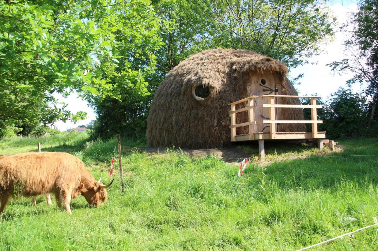 La Libaudiere Bed & Breakfast Pouzauges Exterior photo